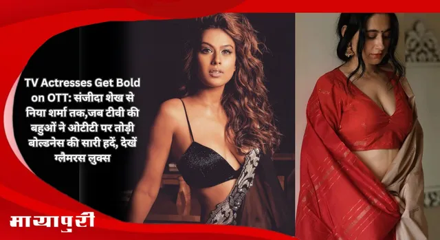 TV Actresses Get Bold on OTT: संजीदा शेख से निया शर्मा तक,जब टीवी की बहुओं ने ओटीटी पर तोड़ी बोल्डनेस की सारी हदें, देखें ग्लैमरस लुक्स
